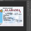 Alabama driver license Psd Template