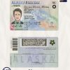 Alaska driver license Psd Template