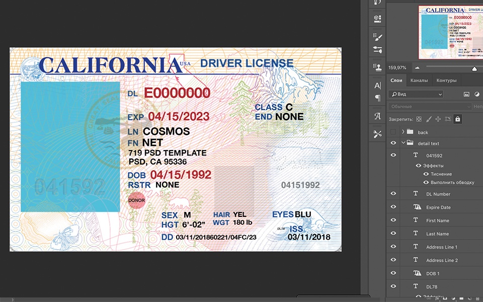 California driver license Psd Template