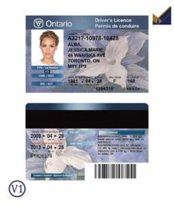 Editable Canada Ontario Driver License Template | PSD Layer-Based