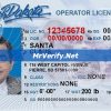 South Dakota Drivers License Template PSD Download