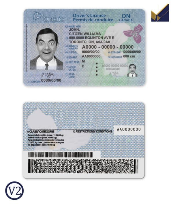 Editable Canada Ontario Driver License Template | PSD Layer-Based