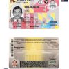 Fake USA Maryland Driver License Template | PSD Layer-Based