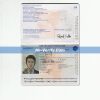 Downloadable editable france passport Template