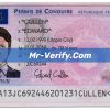 france driver license Psd Template