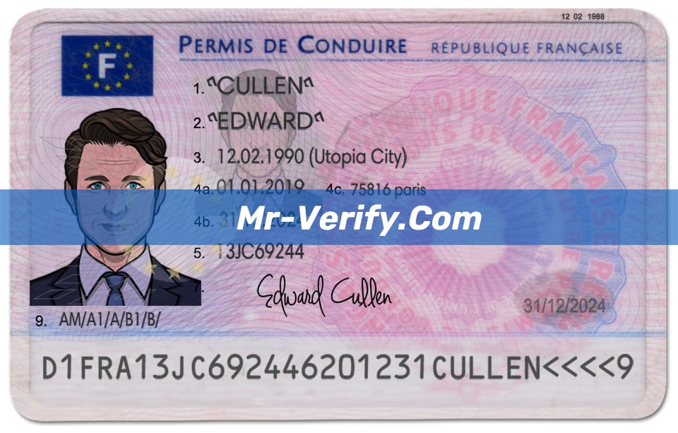 france Drivers License Template PSD free download