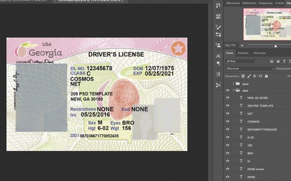 Georgia Driver License Psd Template | Mr. Verify