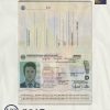 Germany Passport psd template