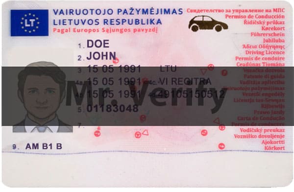 Lithuania driver license front template - Lithuania driver license Psd Template