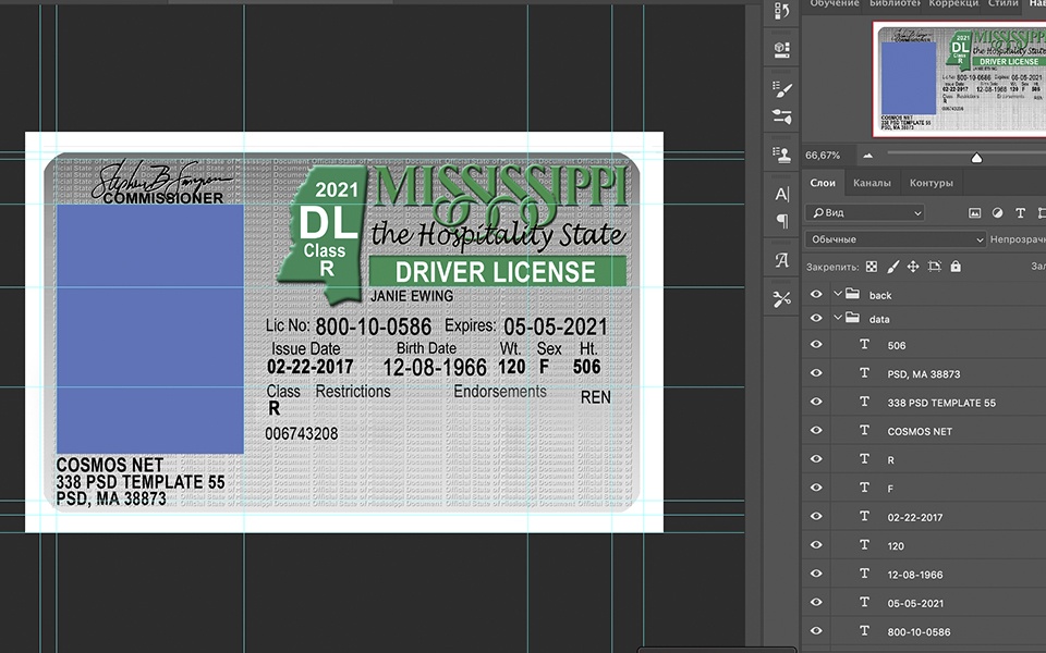 Mississippi driver license Psd Template