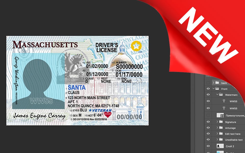 Massachussets driver license Psd Template New