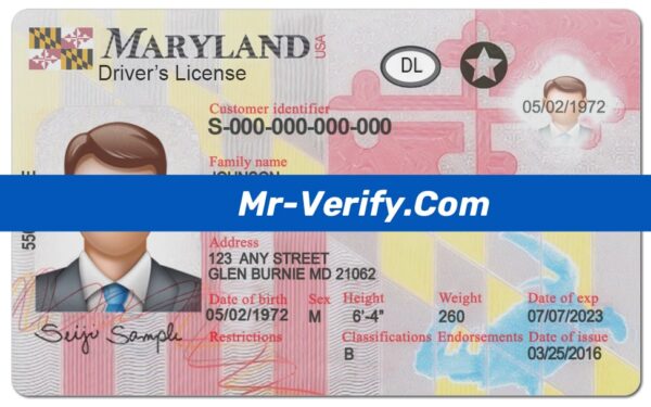 Free editable Blank maryland Drivers License Template