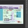 Nebraska driver license Psd Template