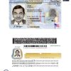 New-york-Driver-License-PSD-Template