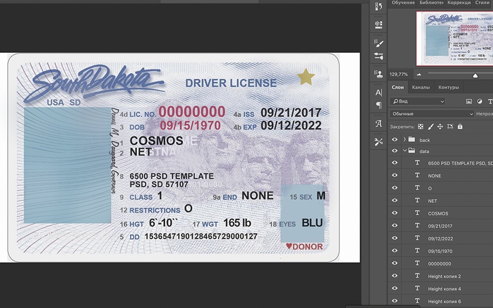 South Dakota driver license Psd Template