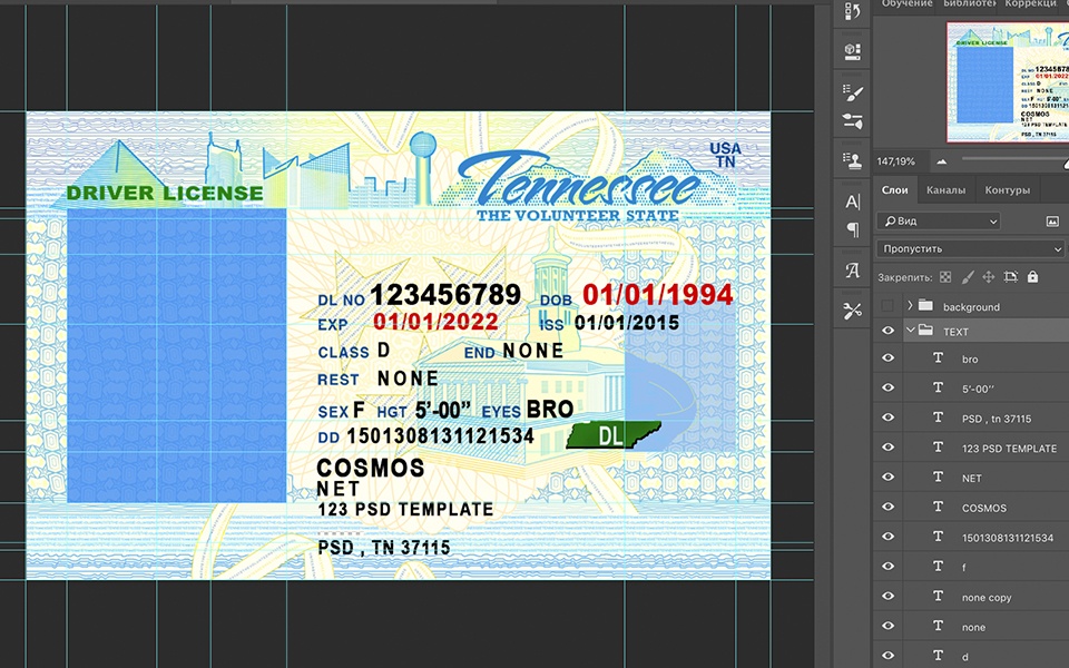 Tennessee driver license Psd Template
