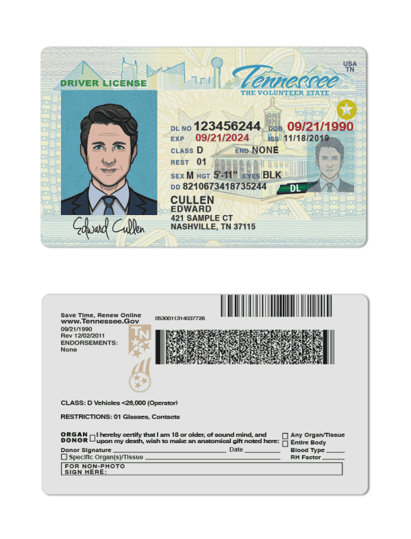 Tennessee driver license Psd Template