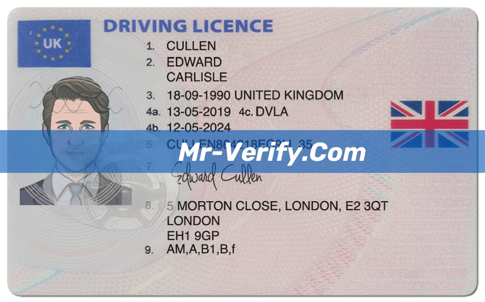 Free editable Blank uk Drivers License Template