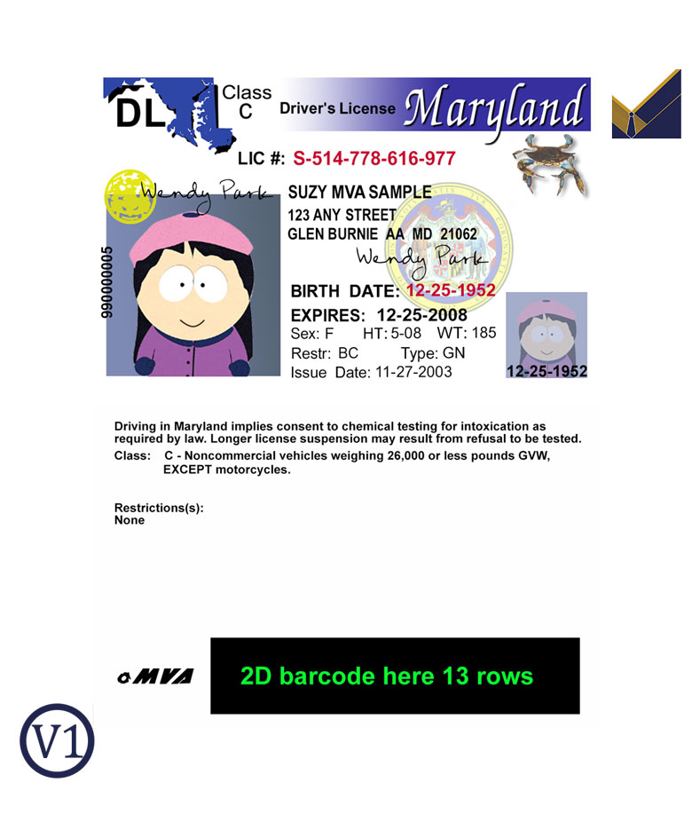 USA-Maryland-Driver-License-Template