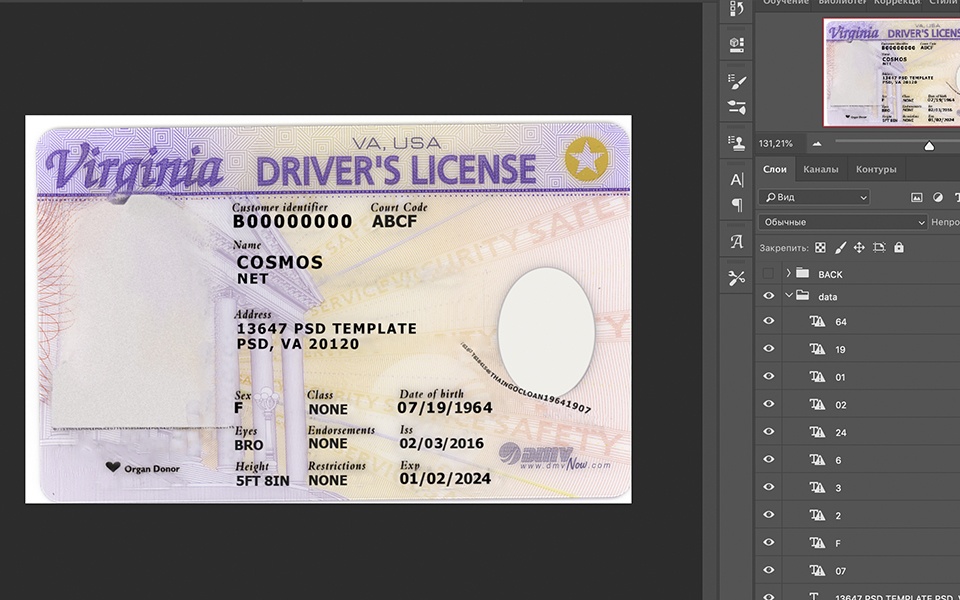 Virginia driver license Psd Template