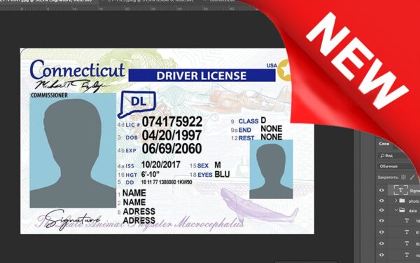 Connecticut driver license Psd Template New