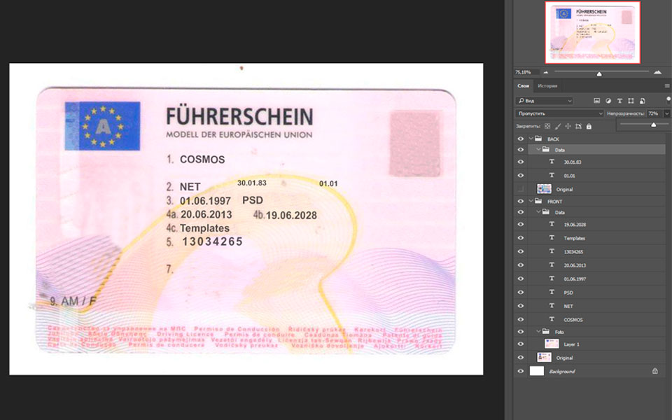 Austria driver license Psd Template
