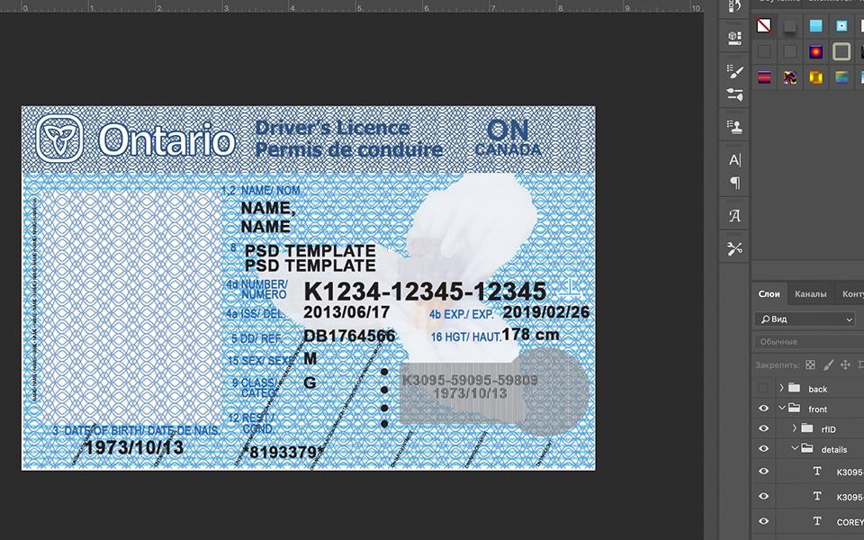 Ontario driver license Psd Template