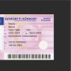 Finland driver license Psd Template