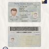 New York driver license Psd Template