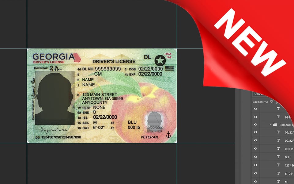 Georgia driver license Psd Template