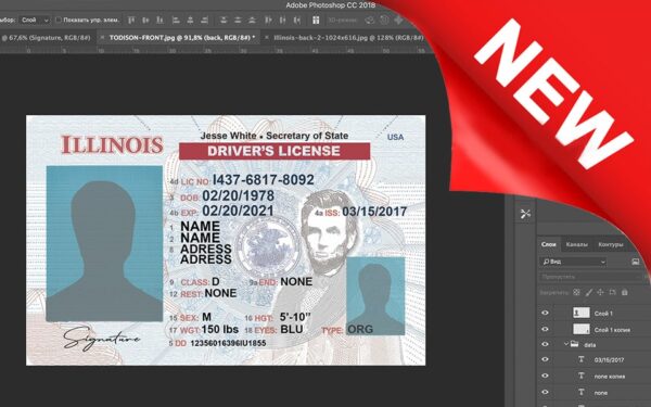 Illinois driver license Psd Template New