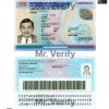 italy ID card template new