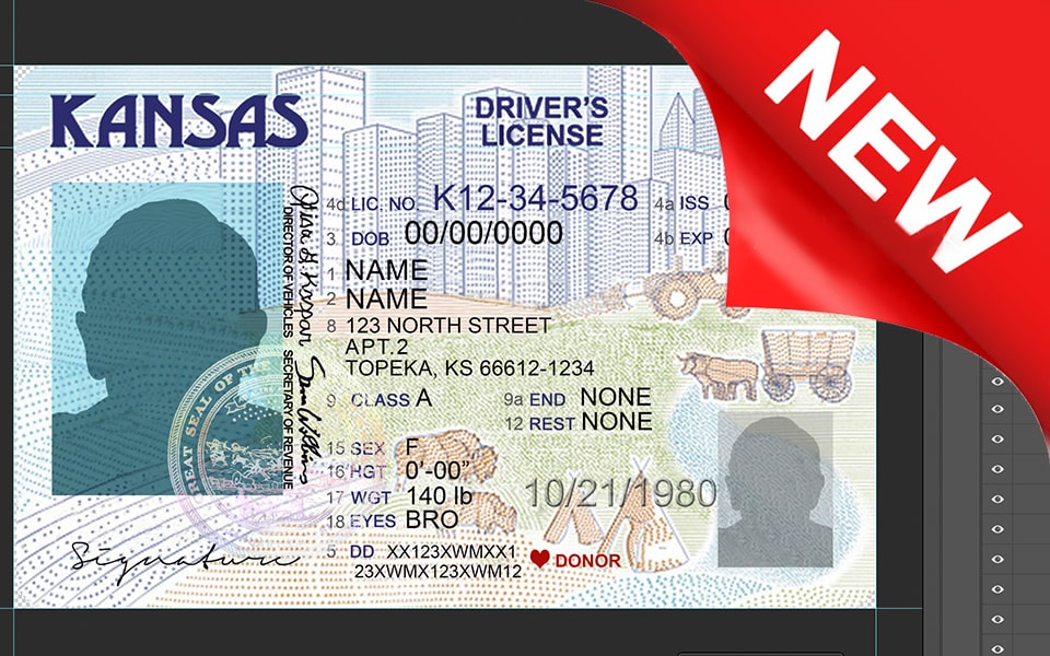 Kansas driver license Psd Template New
