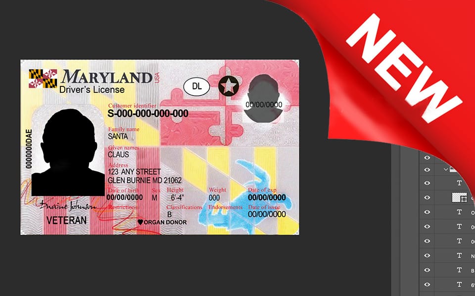Maryland driver license Psd Template New