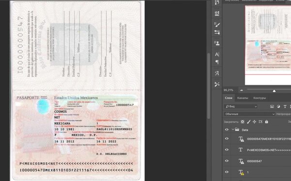 Mexico Passport psd template