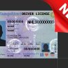 New Hampshire driver license Psd Template