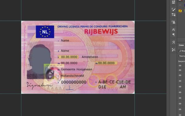 netherlands driver license Psd Template