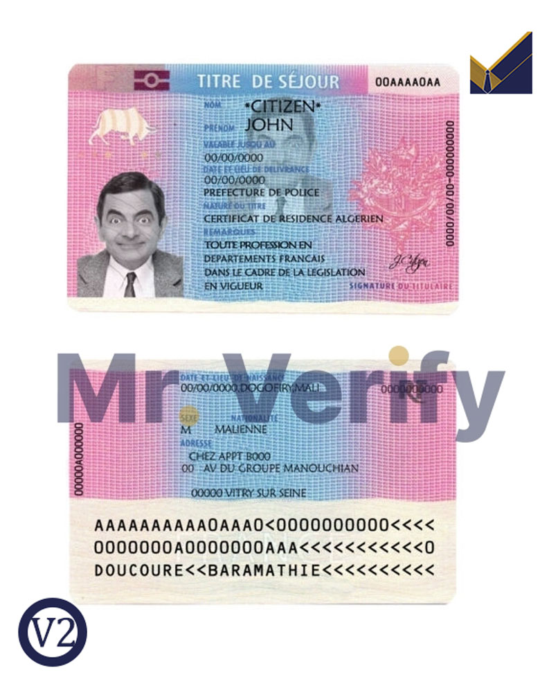 residence-permit-France-template