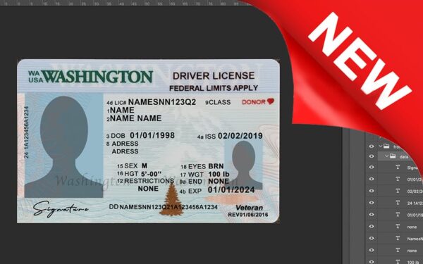 Washington driver license Psd Template New