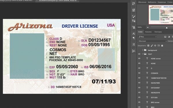 Arizona Driver License PSD TEMPLATE