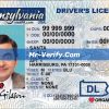 Pennsylvania Driver License psd template
