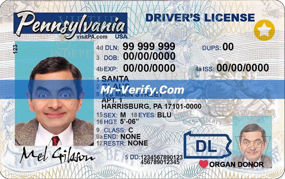 Editable Pennsylvania Drivers License Template Free