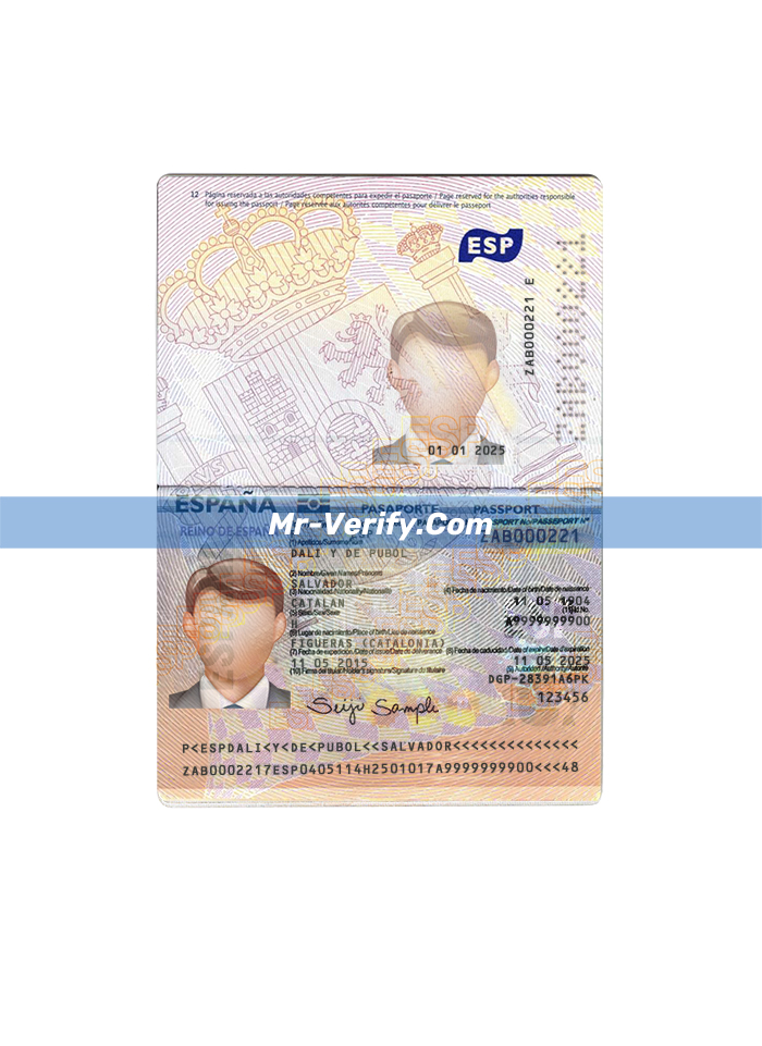 Downloadable editable spain passport Template