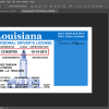 Louisiana Driver License PSD Template Free Download