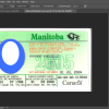 Manitoba Canada Driver License PSD Template