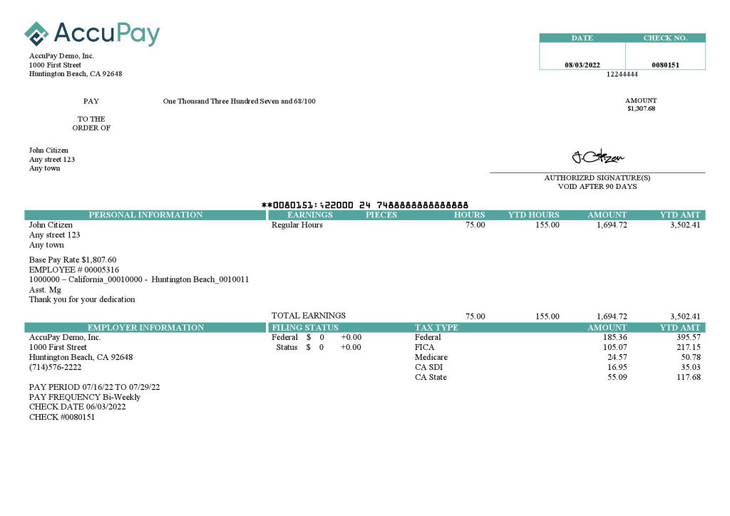USA Accupay Demo Inc. payroll company pay stub Word and PDF template