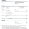 USA American Express invoice template in Word and PDF format