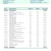 Argentina Banco Patagonia bank statement template in Word and PDF format