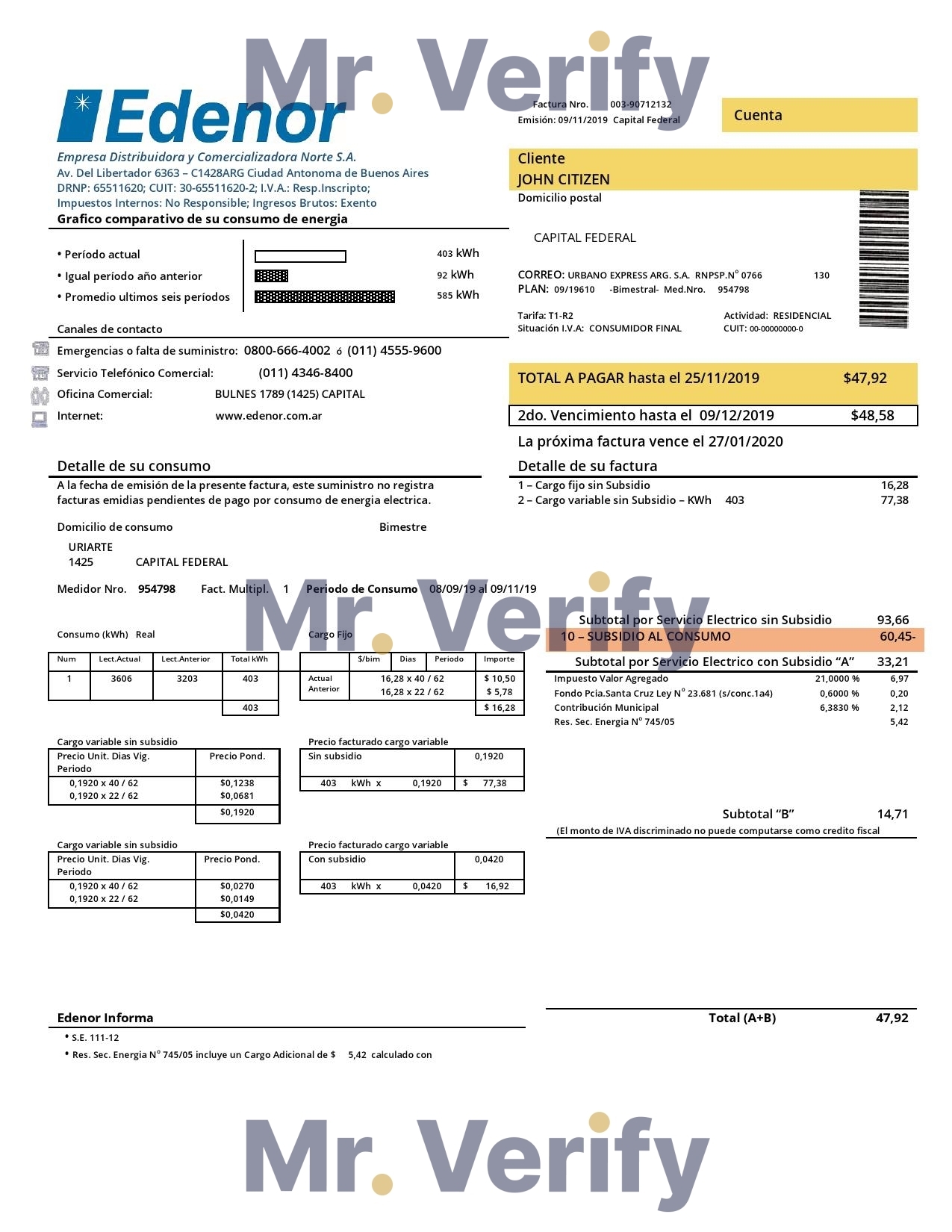 Argentina Edenor easy to fill utility bill template in Word (.doc) and PDF (.pdf) format