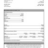 Australia Citibank bank statement Excel and PDF template